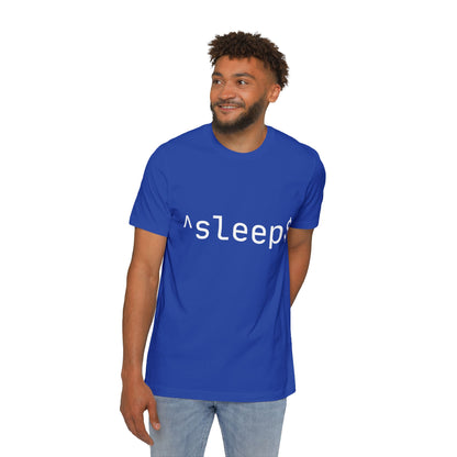 Regex Sleep T-Shirt | Developer Rest Pattern 2024 | Programming Sleep Humor | Tech Nap Gift | Usha Creations