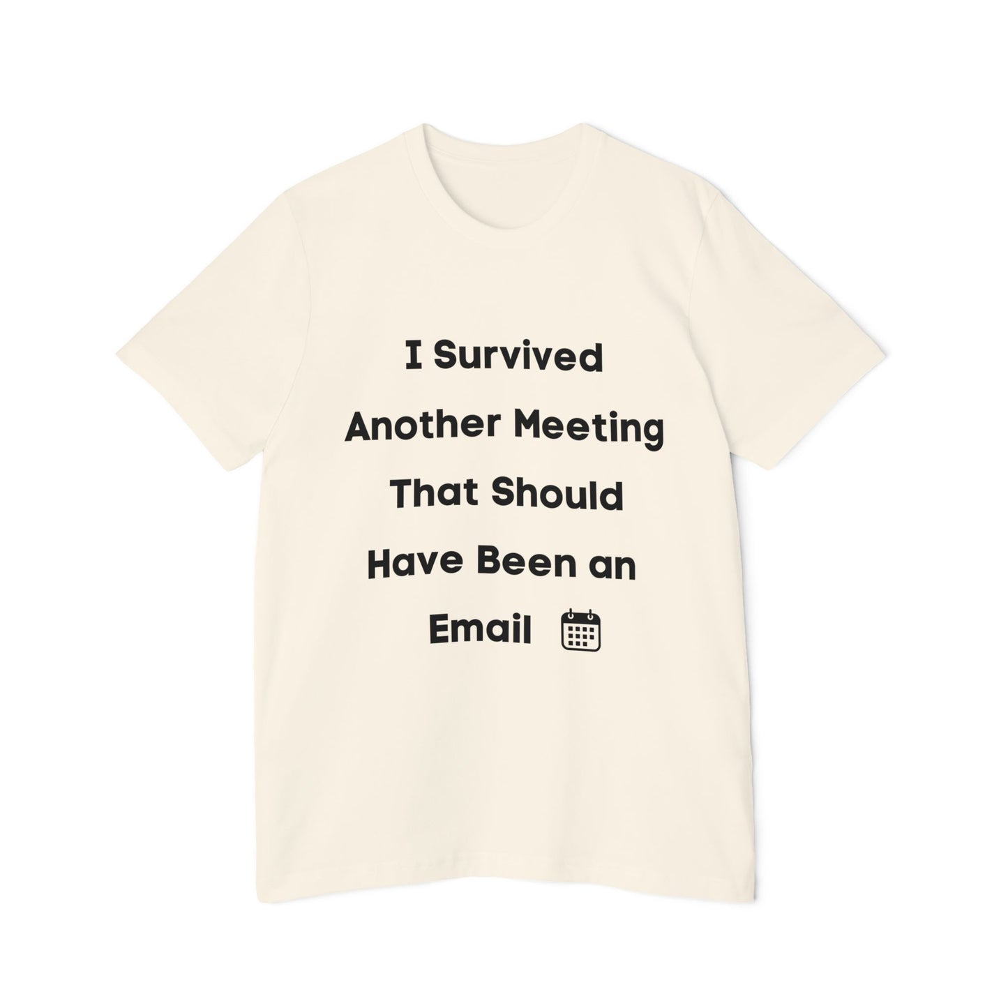 I Survived Another Meeting That Should Have Been an Email | Funny Work T-Shirt | Usha Creations