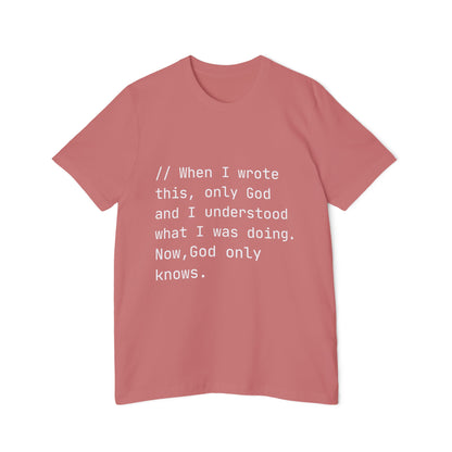 Divine Debug T-Shirt | Mysterious Code Comment | Programming Humor | Usha Creations