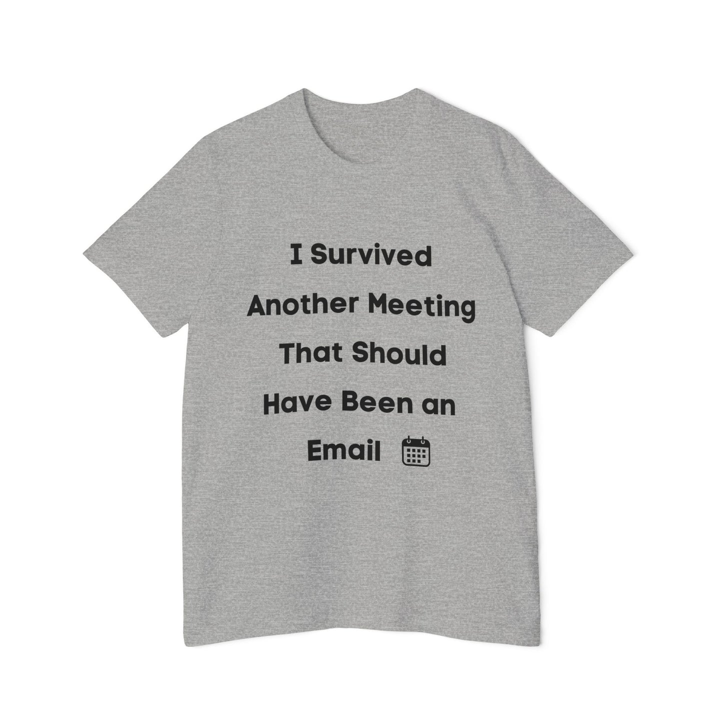 I Survived Another Meeting That Should Have Been an Email | Funny Work T-Shirt | Usha Creations