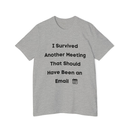 I Survived Another Meeting That Should Have Been an Email | Funny Work T-Shirt | Usha Creations