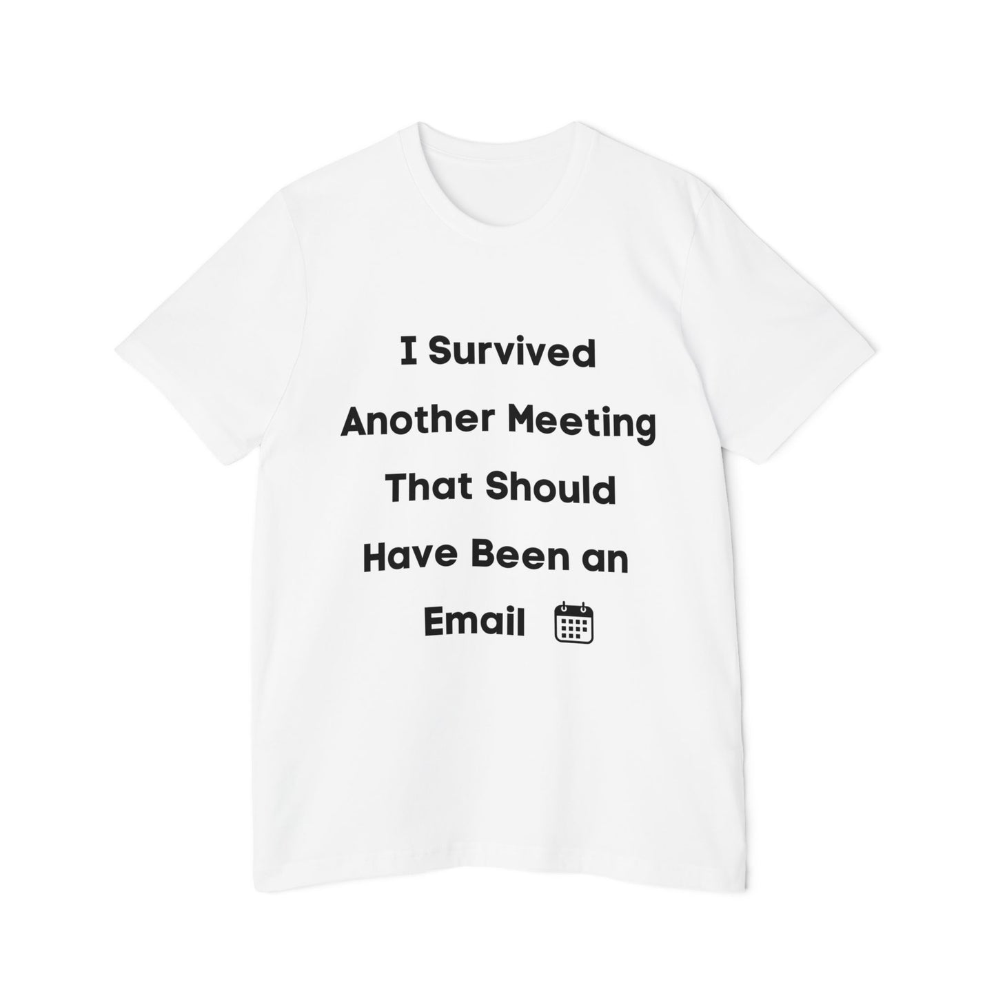 I Survived Another Meeting That Should Have Been an Email | Funny Work T-Shirt | Usha Creations