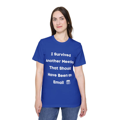 I Survived Another Meeting That Should Have Been an Email | Funny Work T-Shirt | Usha Creations