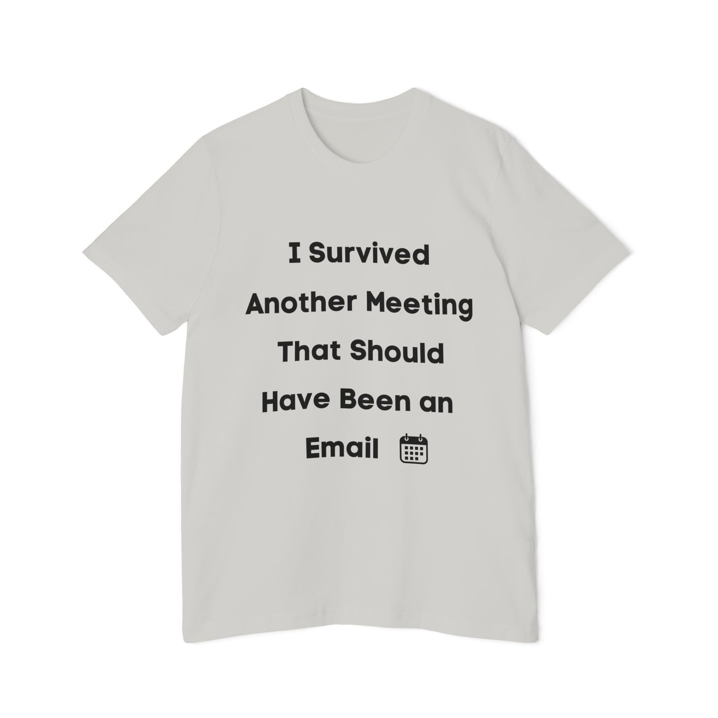 I Survived Another Meeting That Should Have Been an Email | Funny Work T-Shirt | Usha Creations